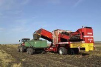 АО Агрофирма Раздолье